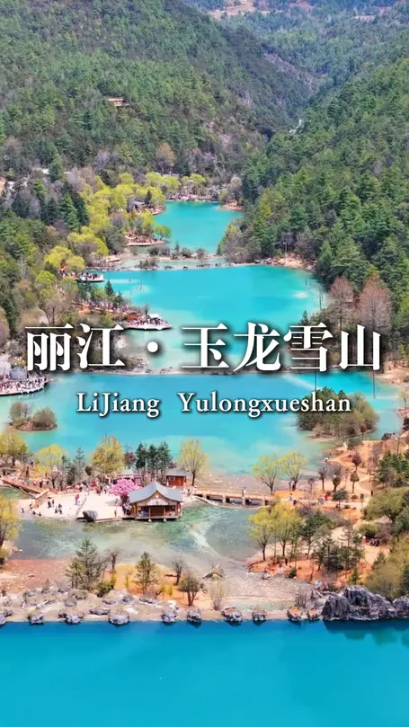 重庆测试数据